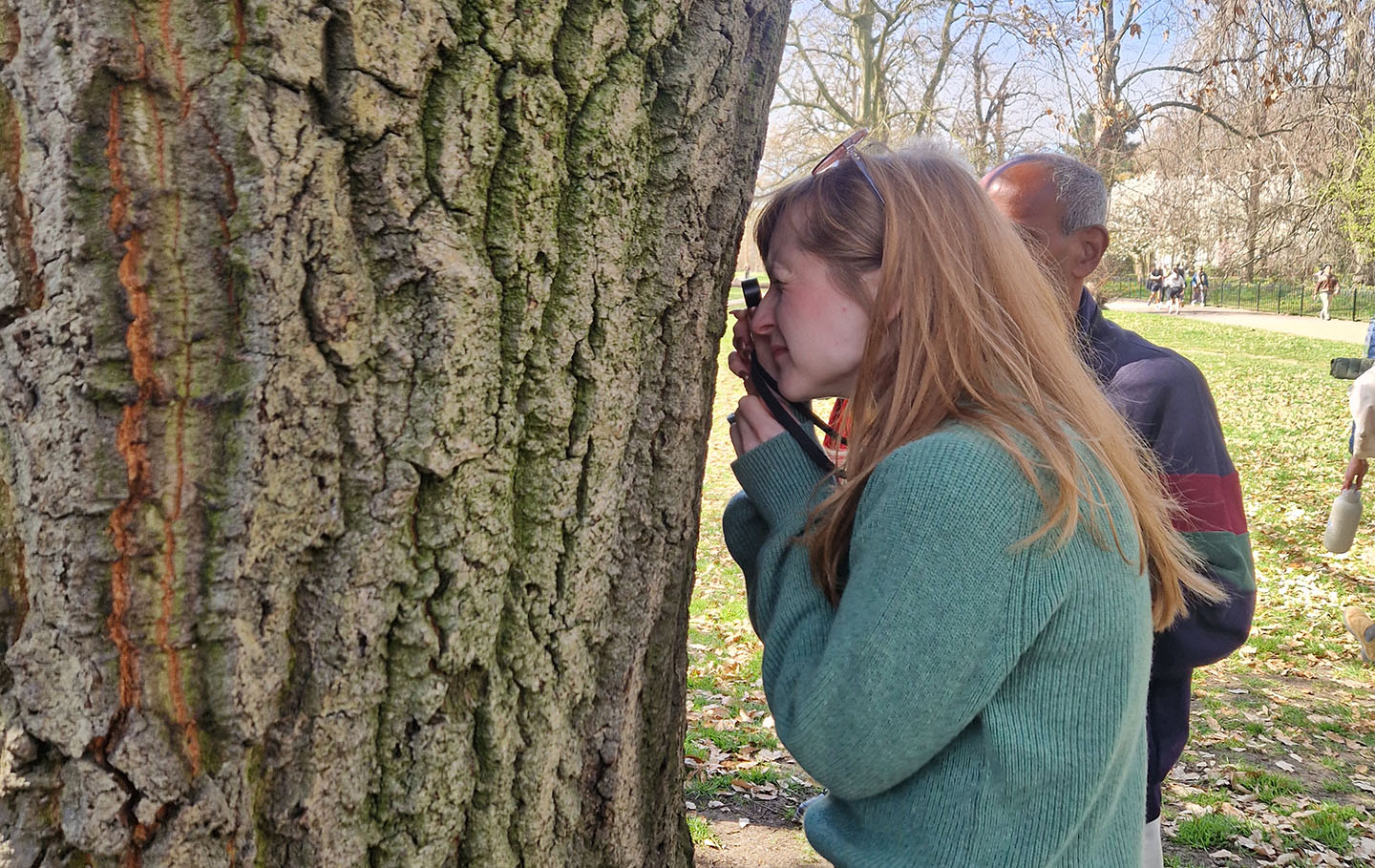 Looking close at tree bark