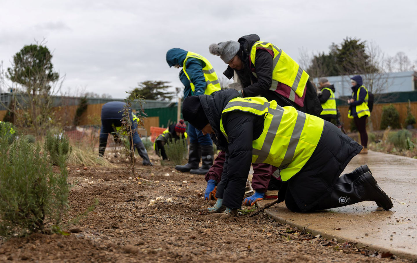 Public planting in The Regent's Garden