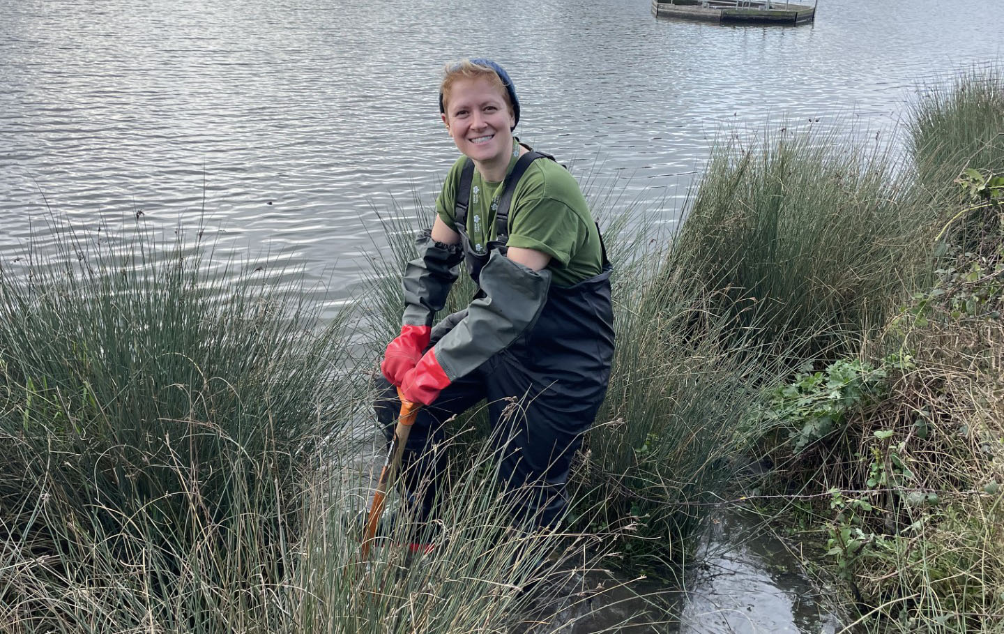 A team member planting rushes at the edge of Pen Ponds, Richmond Park