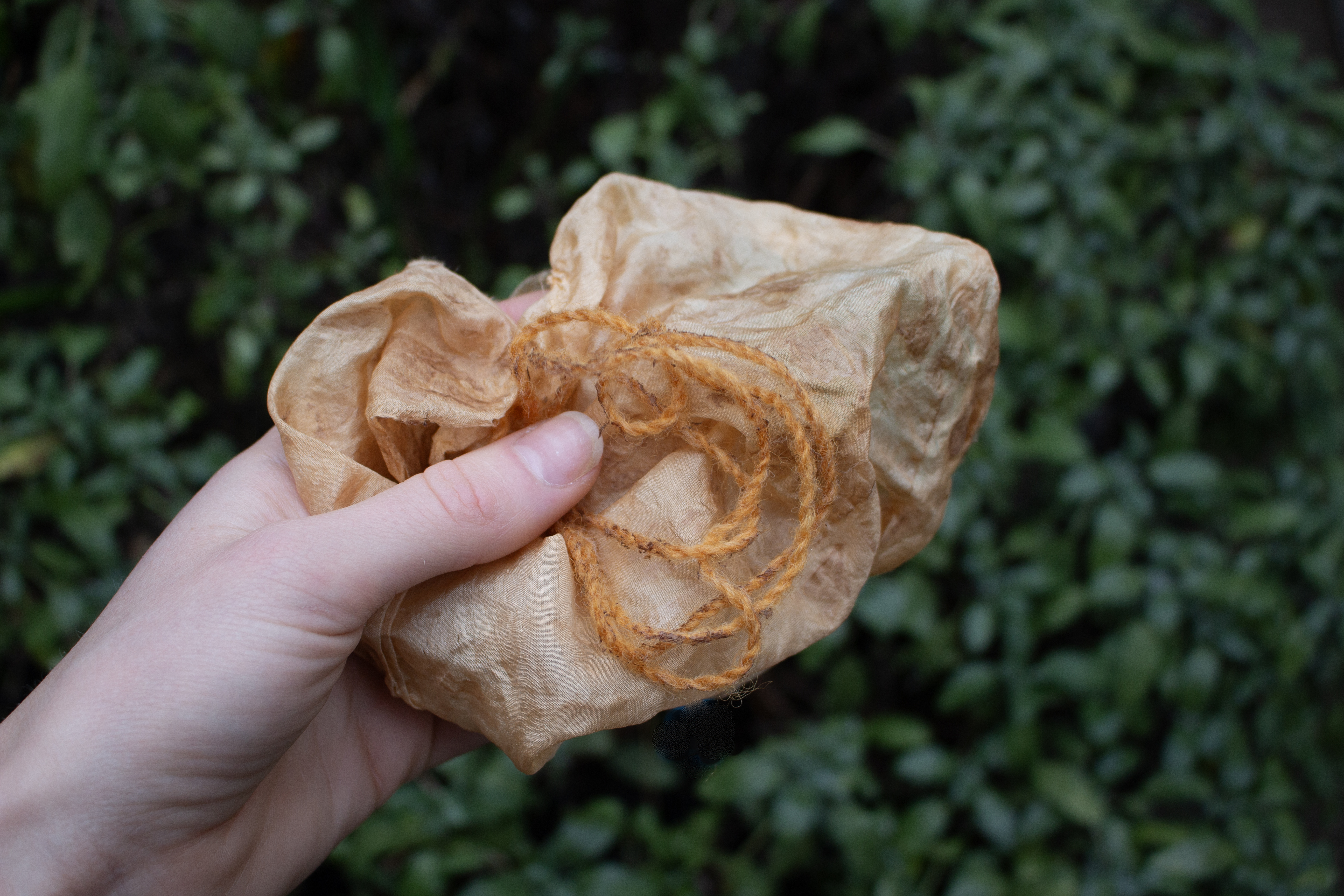 Hand holding orange lichen dyed fabric and yarn