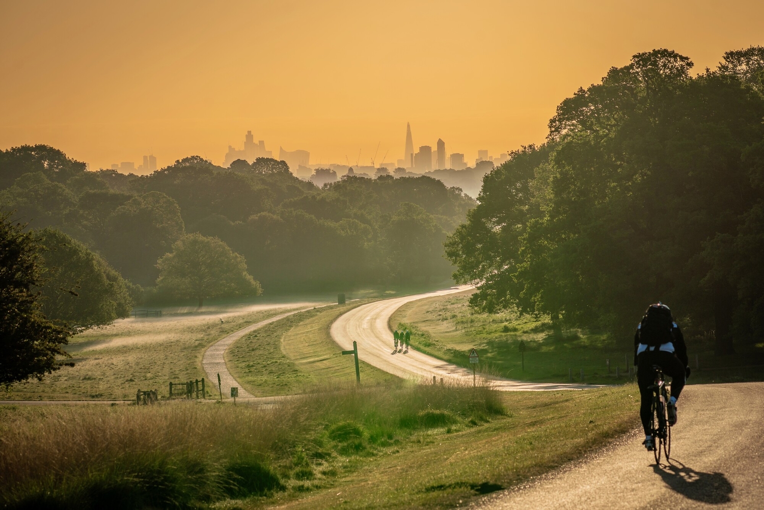 Sunrise on pathway through Richmond Park with wide city views