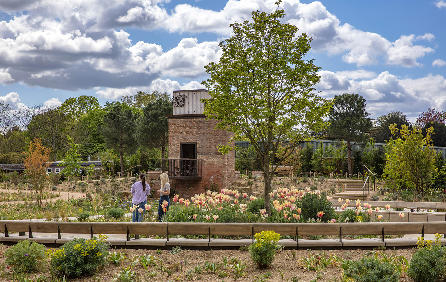 Magnolias were one of the late Queen's favourite trees, and one stands at the centre of the garden