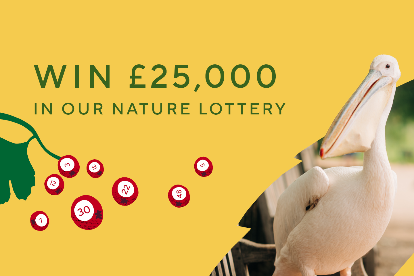 Nature Lottery promotional image