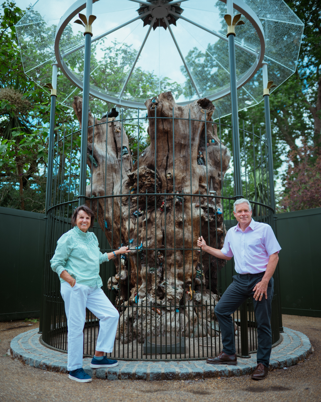 The improved Elfin Oak enclosure