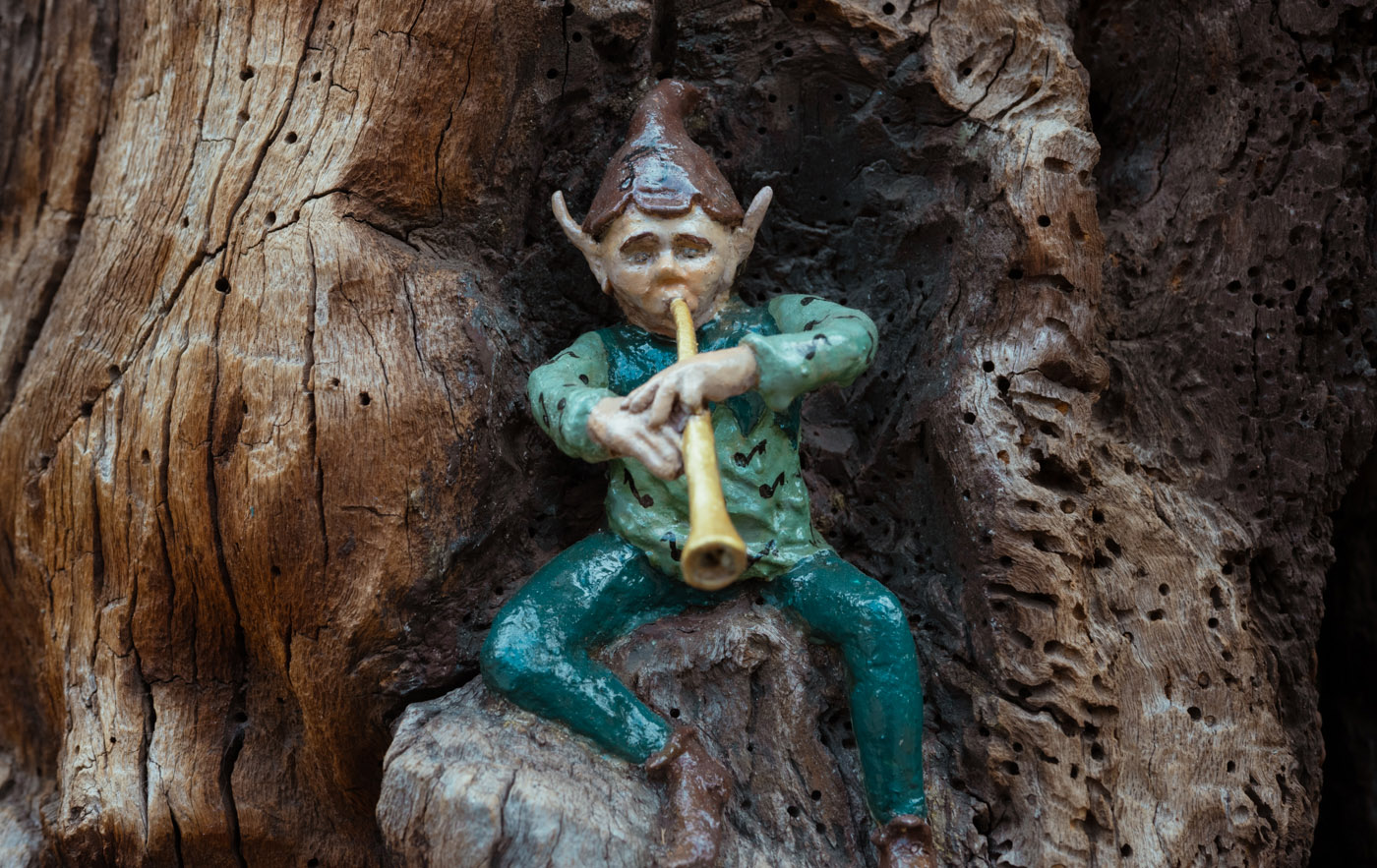 An elven piper on the Elfin Oak