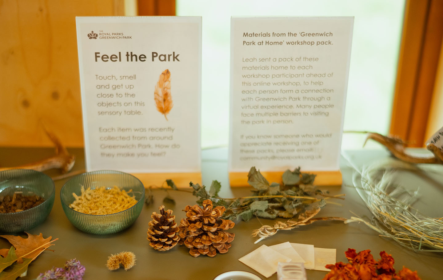 Selection of sensory items from the park
