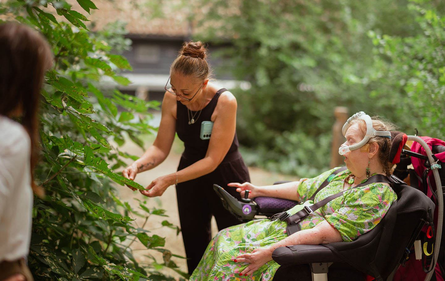 A lady in a wheelchair and her carer feeling the leaves on a tree