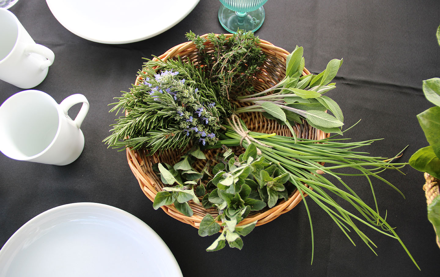 A small selection of plants in a round wicker basket