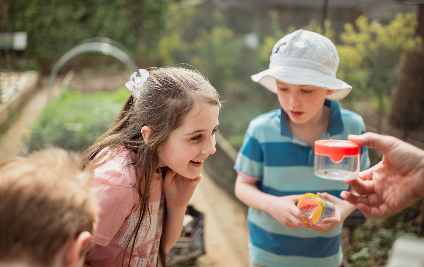 Children getting a closer look at bugs