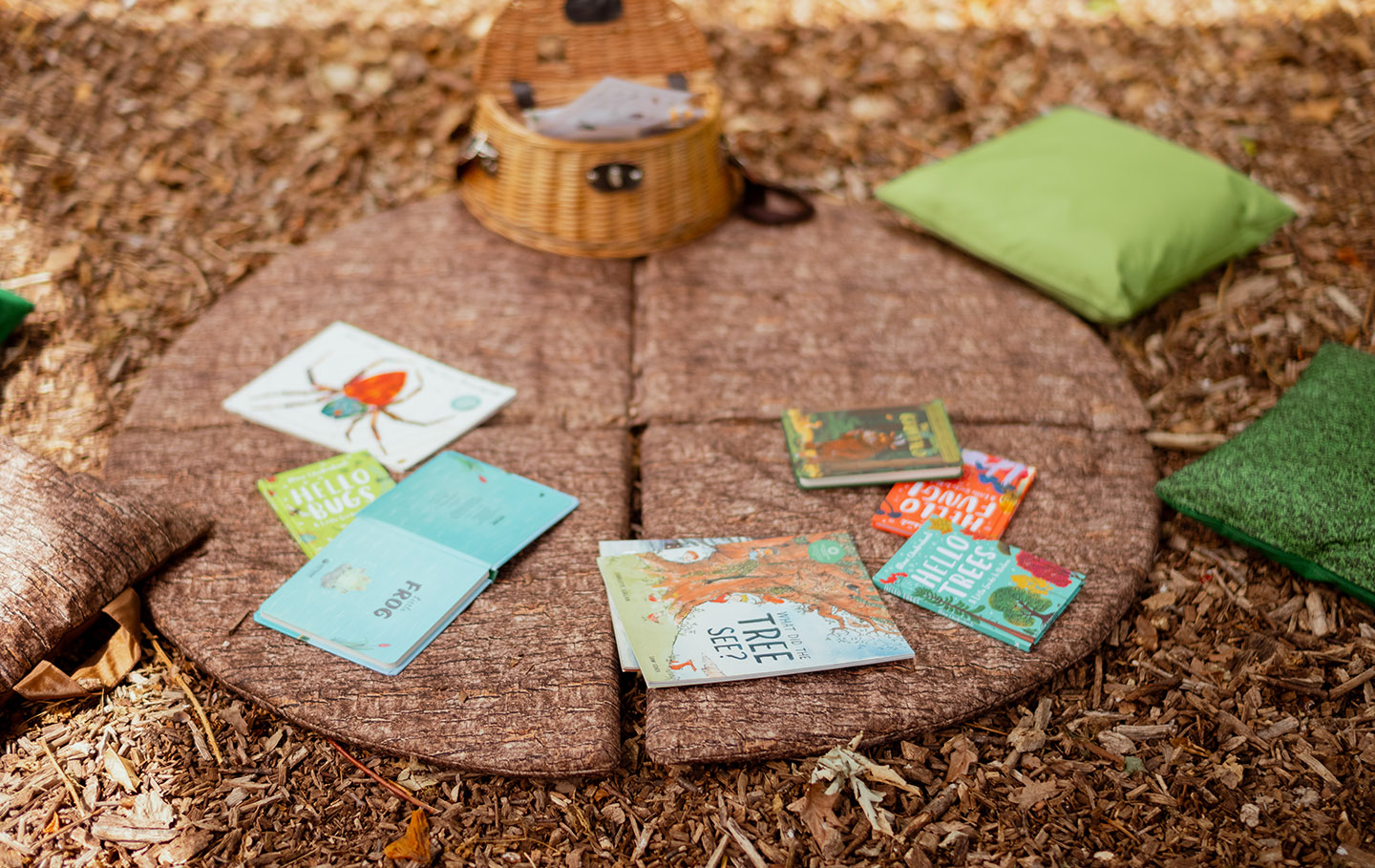 Story area with cushions and books