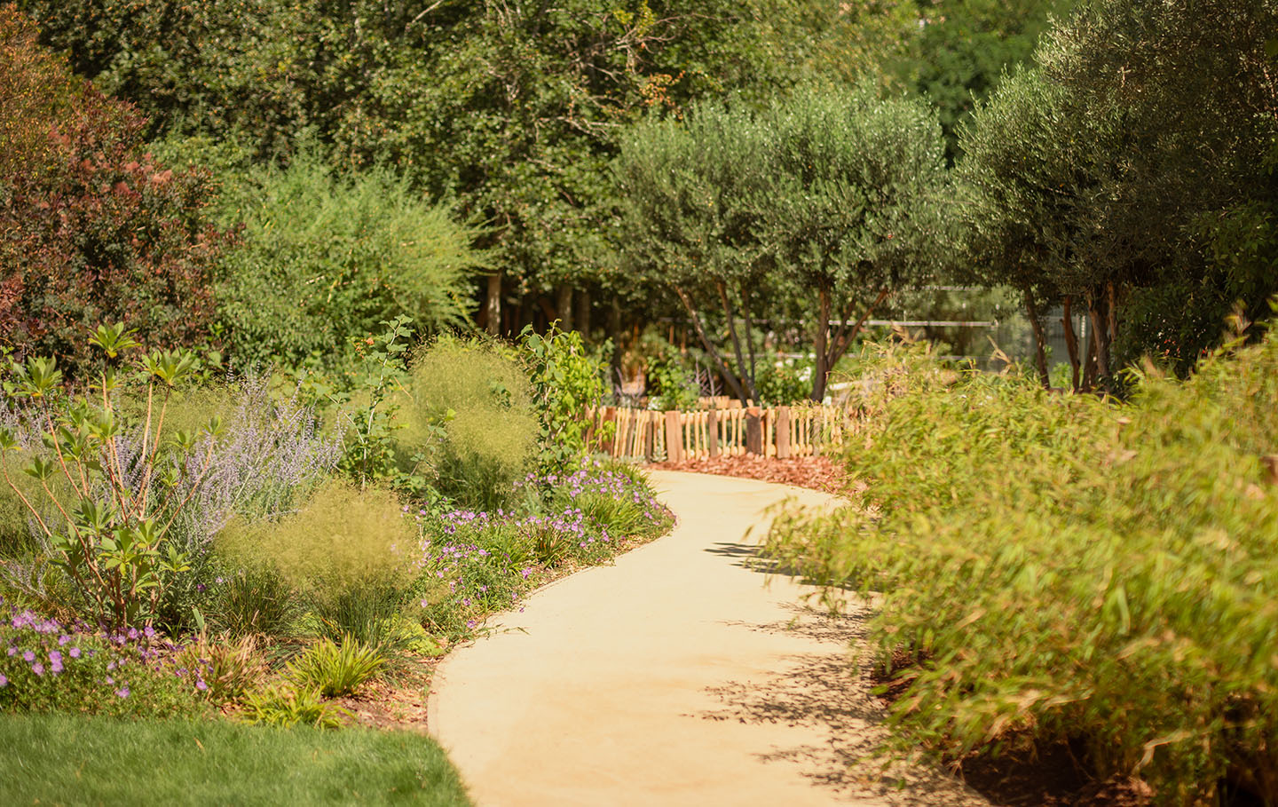 Winding pathway in the Diana, Princess of Wales Memorial Playground