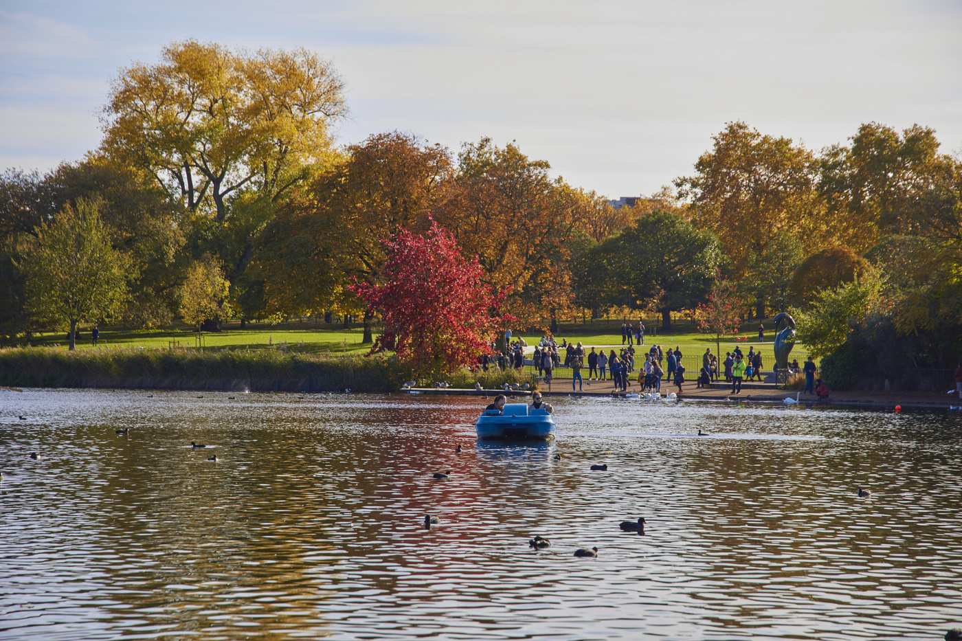 Boating on the Serpentine in autumn