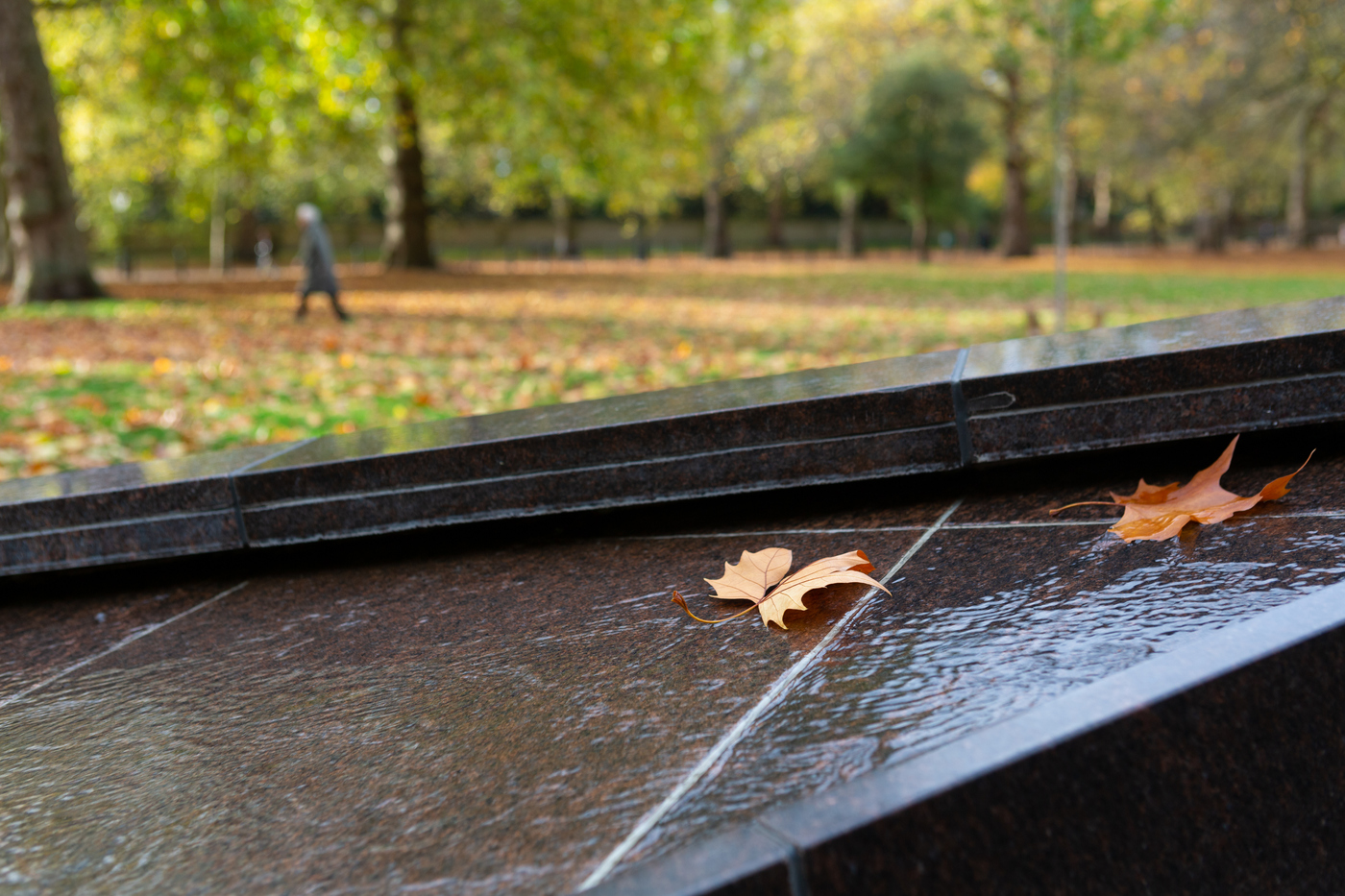 Canada Memorial in Autumn in Green Park
