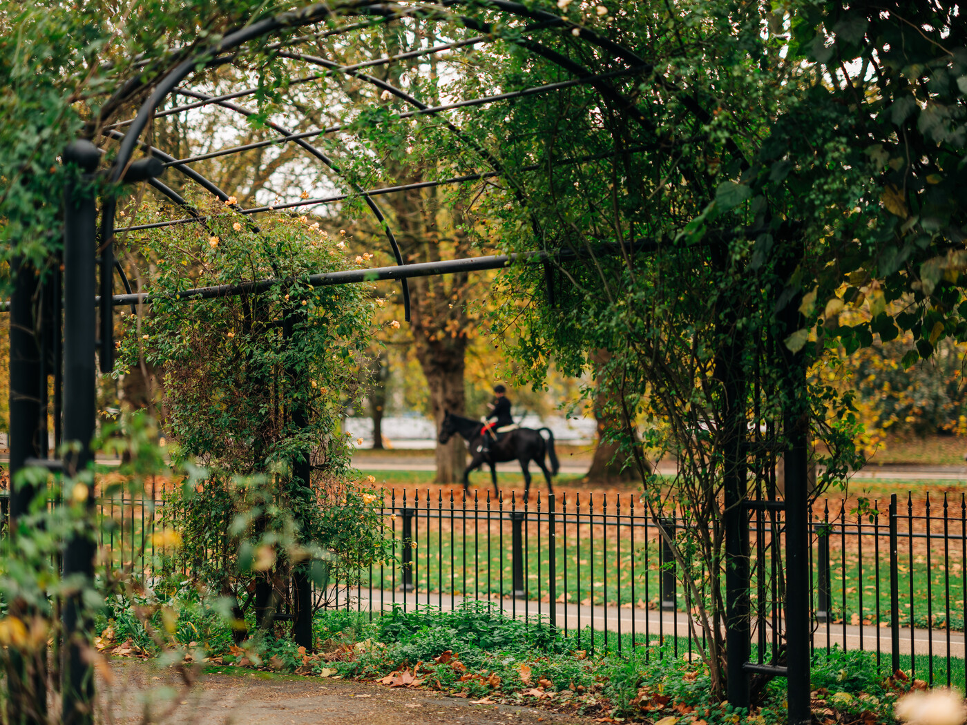 Hyde Park Rose Garden in autumn