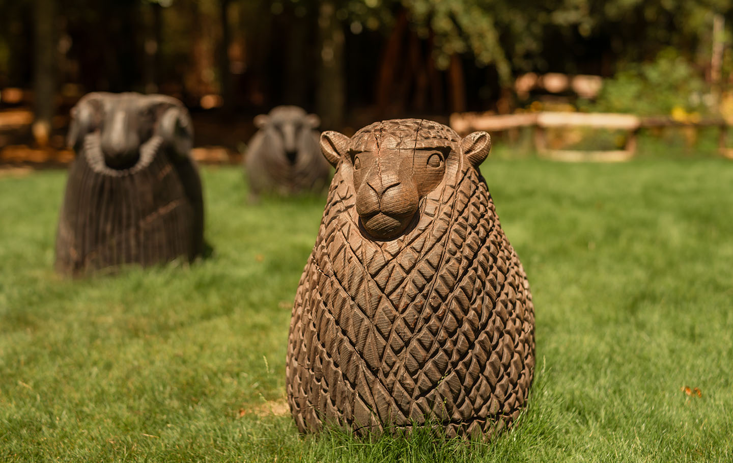 Carved wooden sheep
