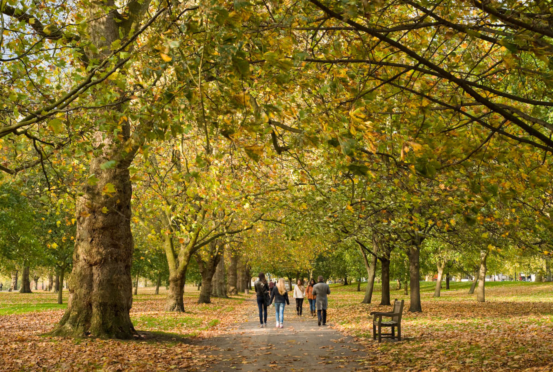 Visitors walking down Lover's Walk in Hyde Park in autumn