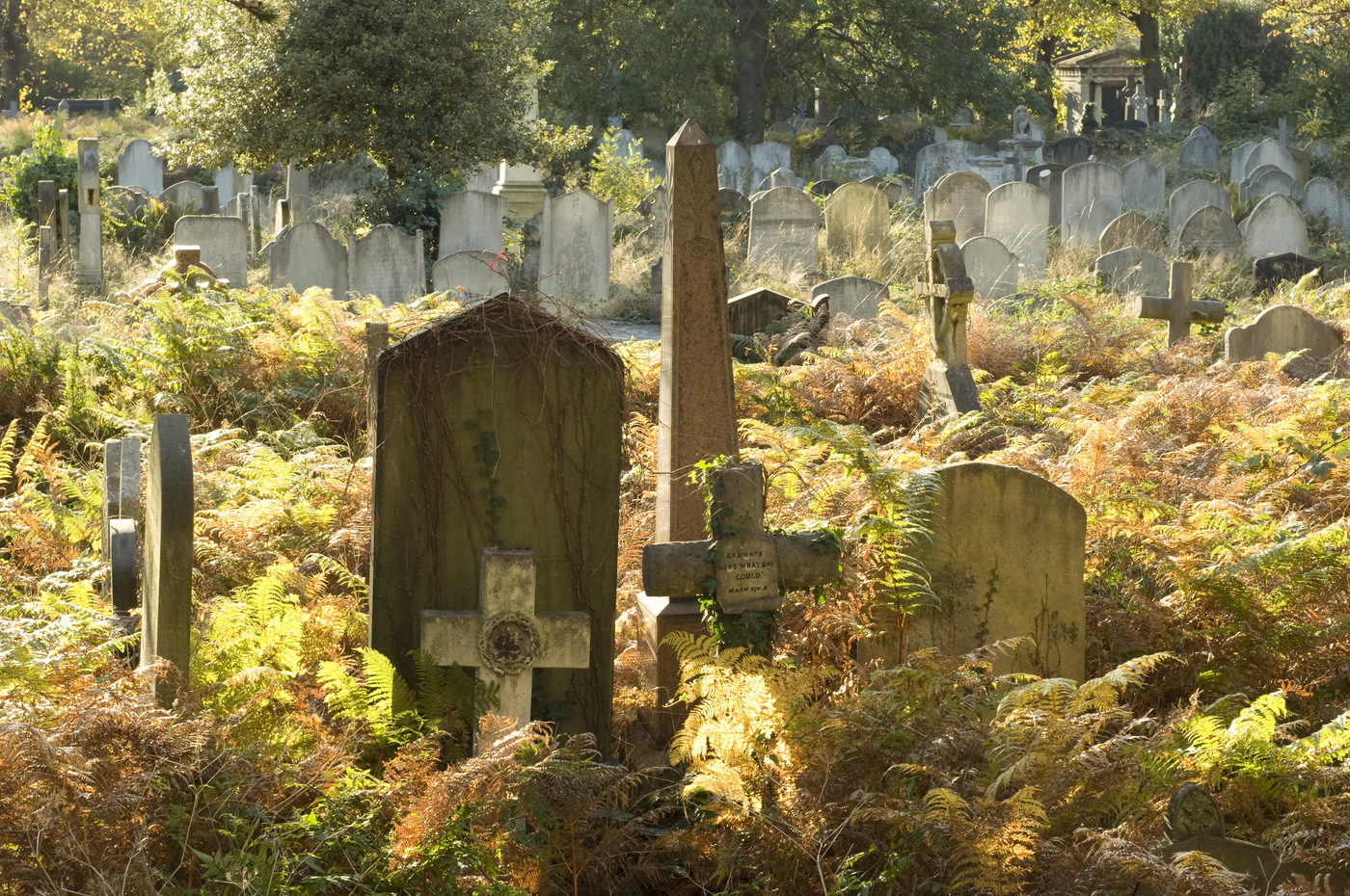 Brompton Cemetery headstones in autumnal light