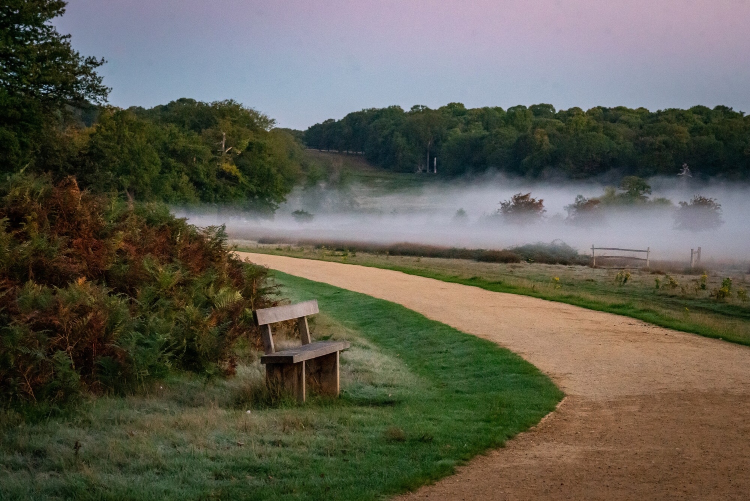 Foggy Richmond Park
