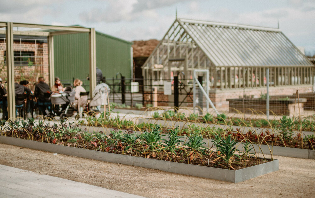 Community kitchen garden at the Ignatius Sancho Café