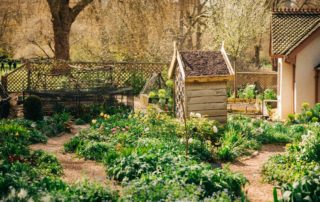 Duck Island allotment