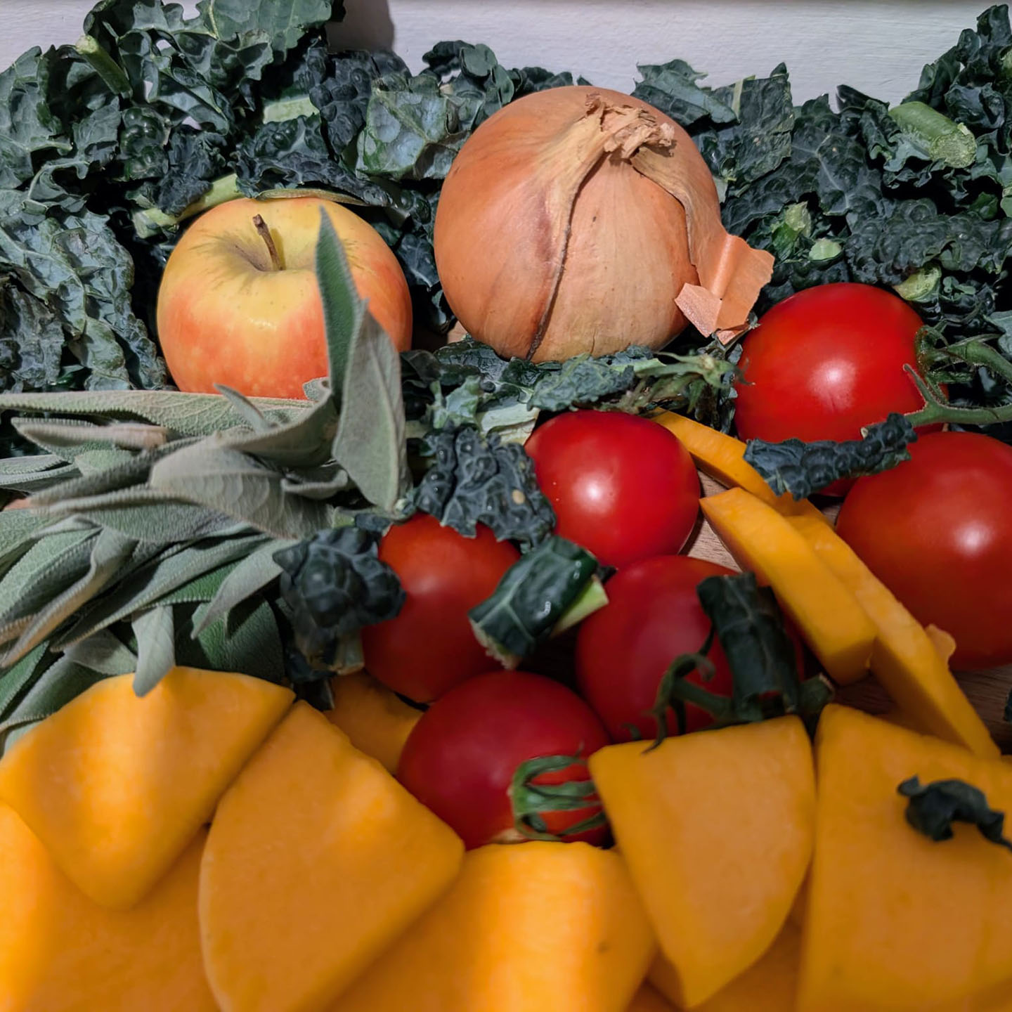 Fruit and vegetable ingredients