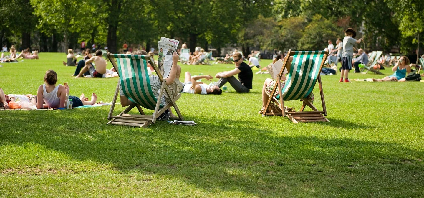 Deck chairs in the park