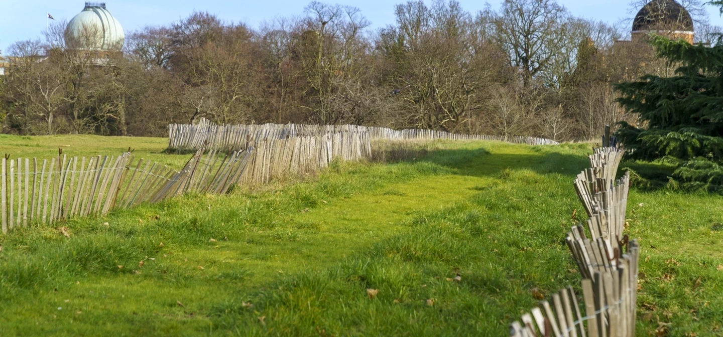 Anglo Saxon burial ground