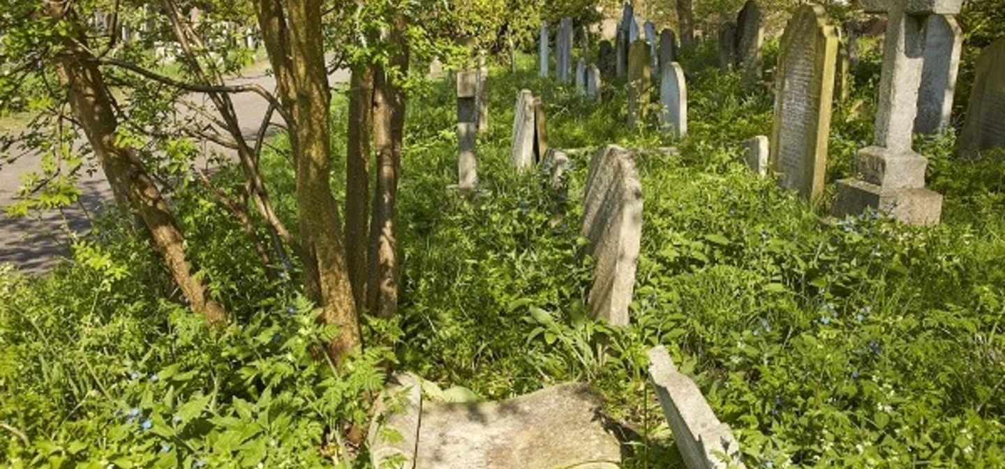 Henrietta Dredge's grave