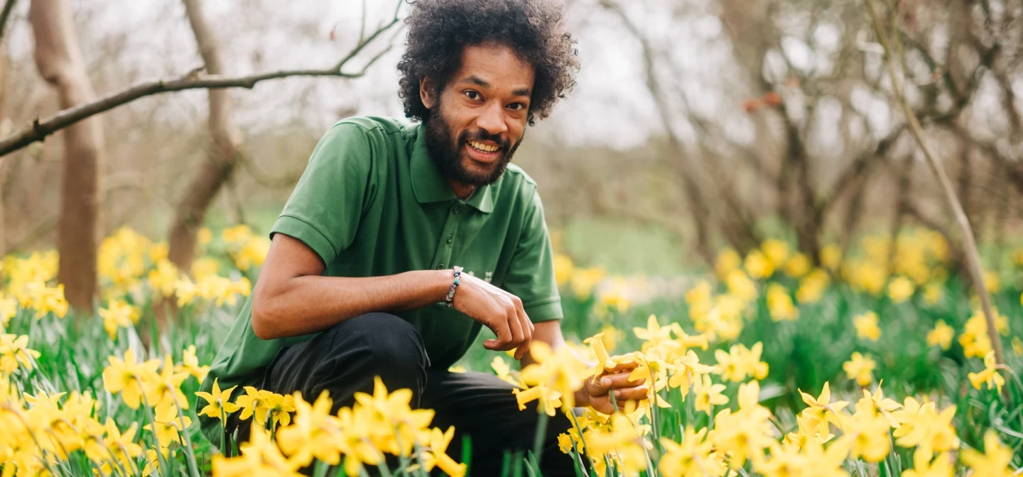 A young man smiling at the camera, bending down in a field of yellow daffodils.