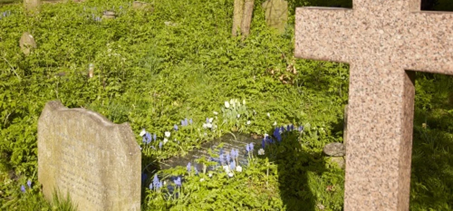 Jack Whitley grave
