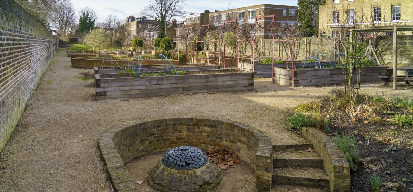 The Queen's orchard allotment