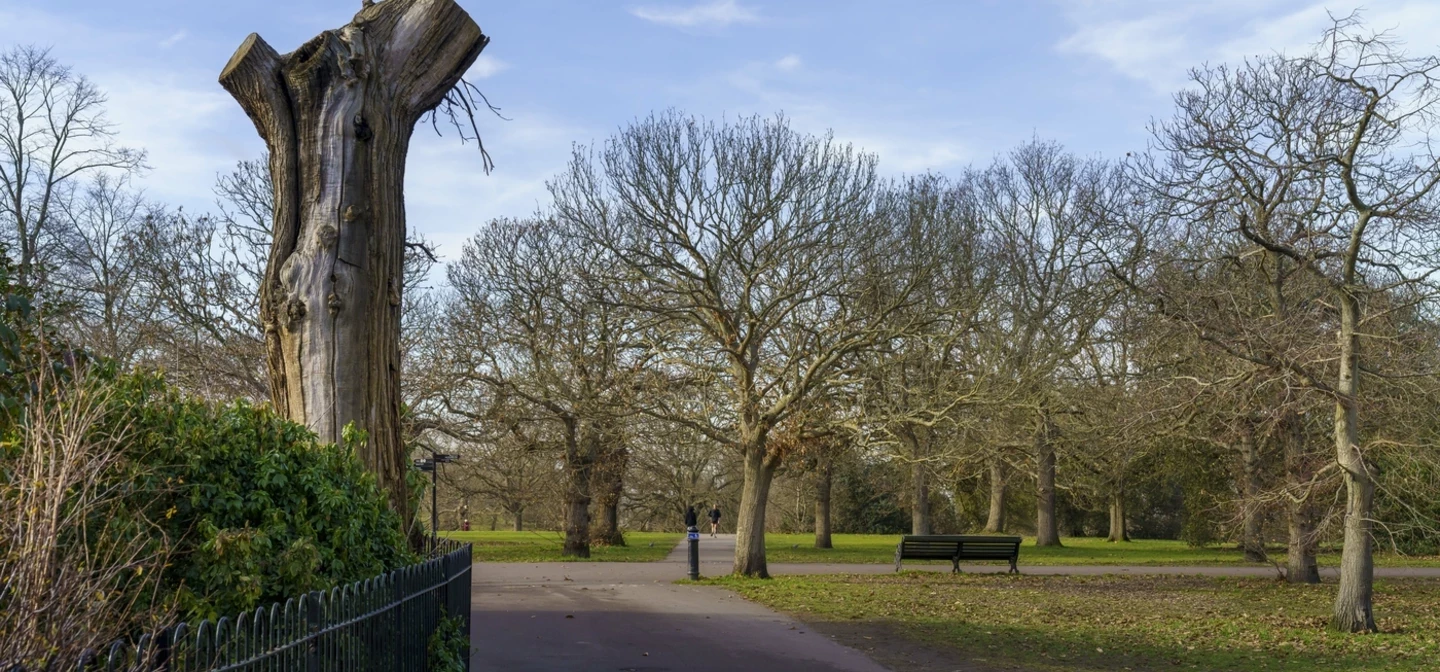 The Flower Garden in winter