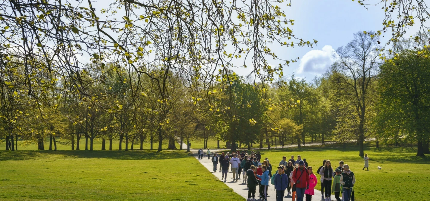 People walking on a path