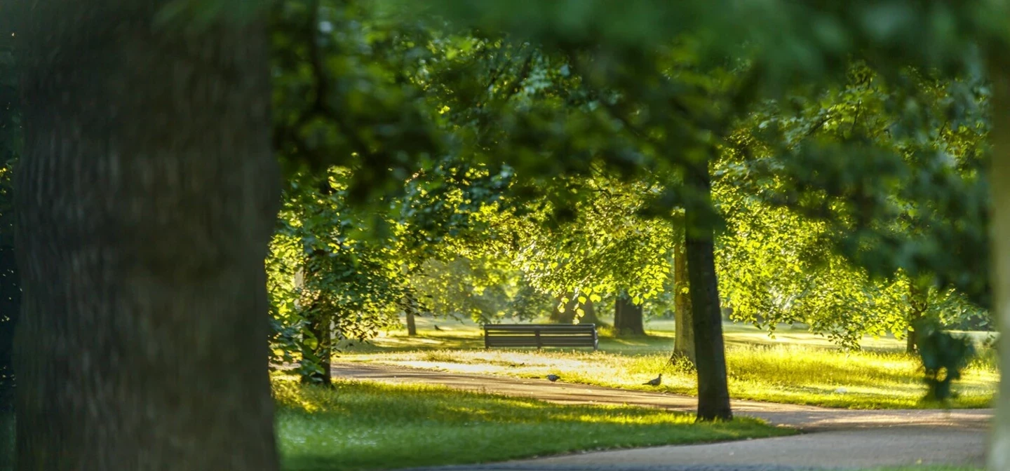 Sunrise in Kensington Gardens