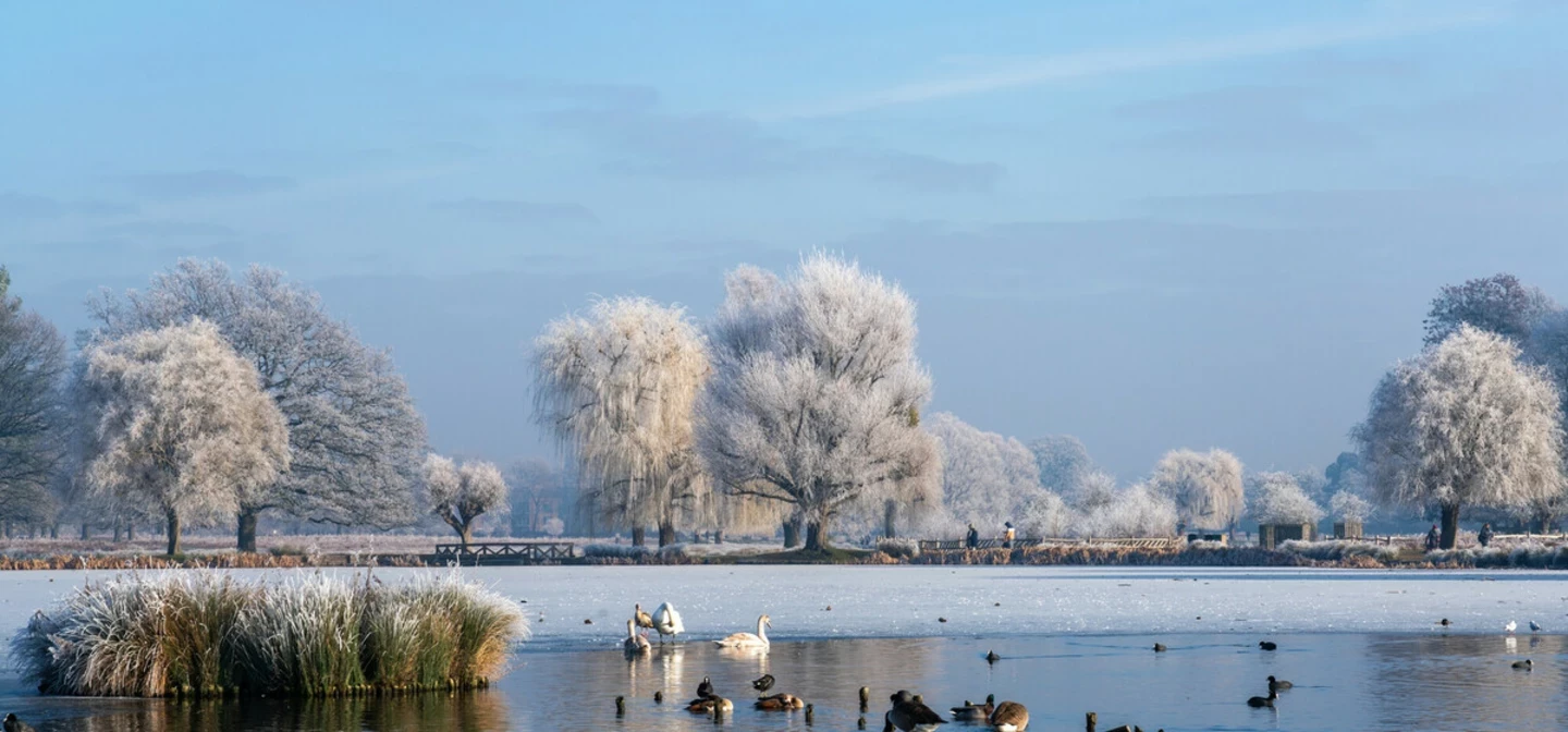 Longford River in winter