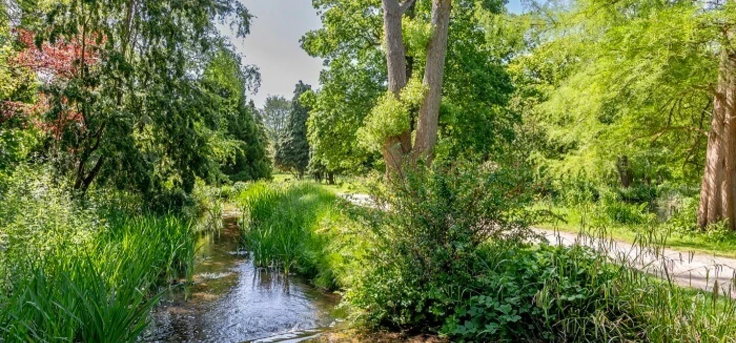 Waterhouse Woodland Gardens in spring