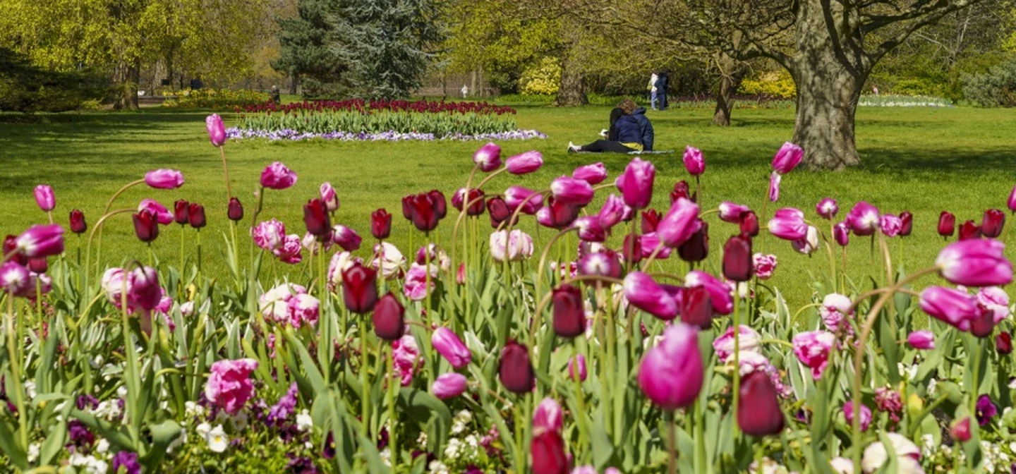 The Flower garden in spring
