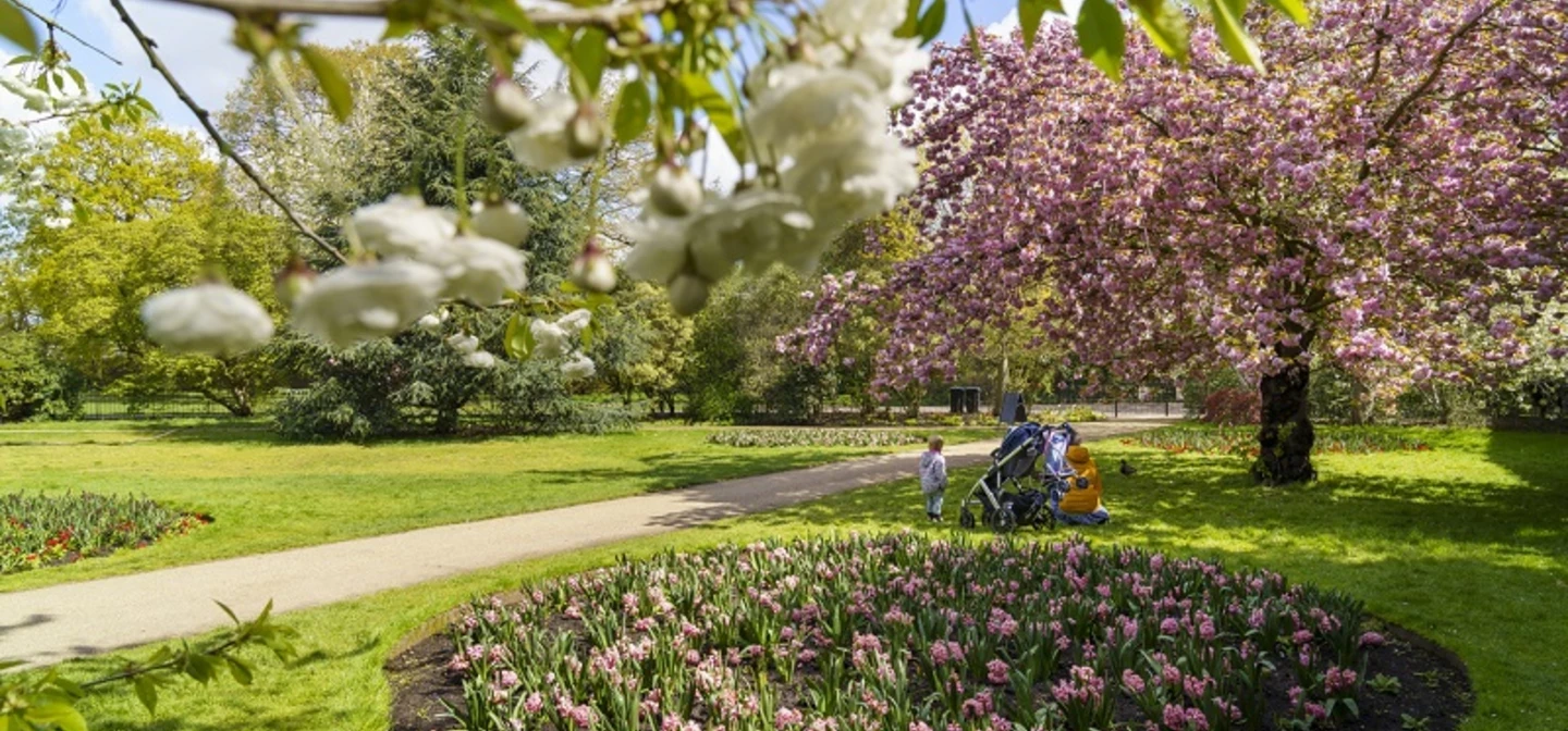 The Flower garden in spring
