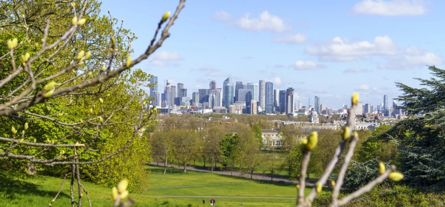 Spring in Greenwich Park