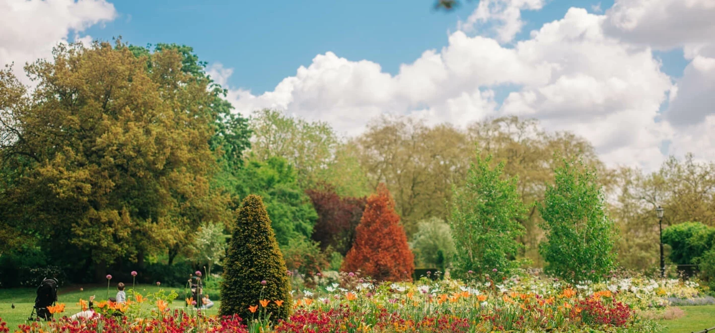 The Rose Garden in spring