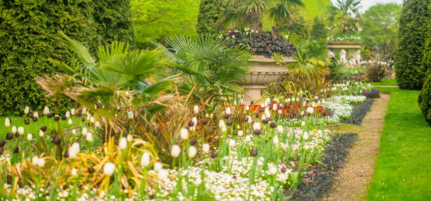 The Avenue Gardens in The Regent's Park
