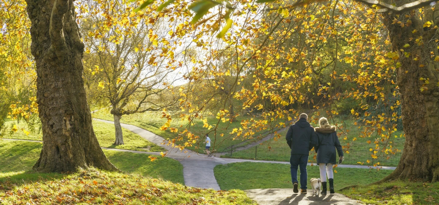 Two people, facing away, walking in an autumn day