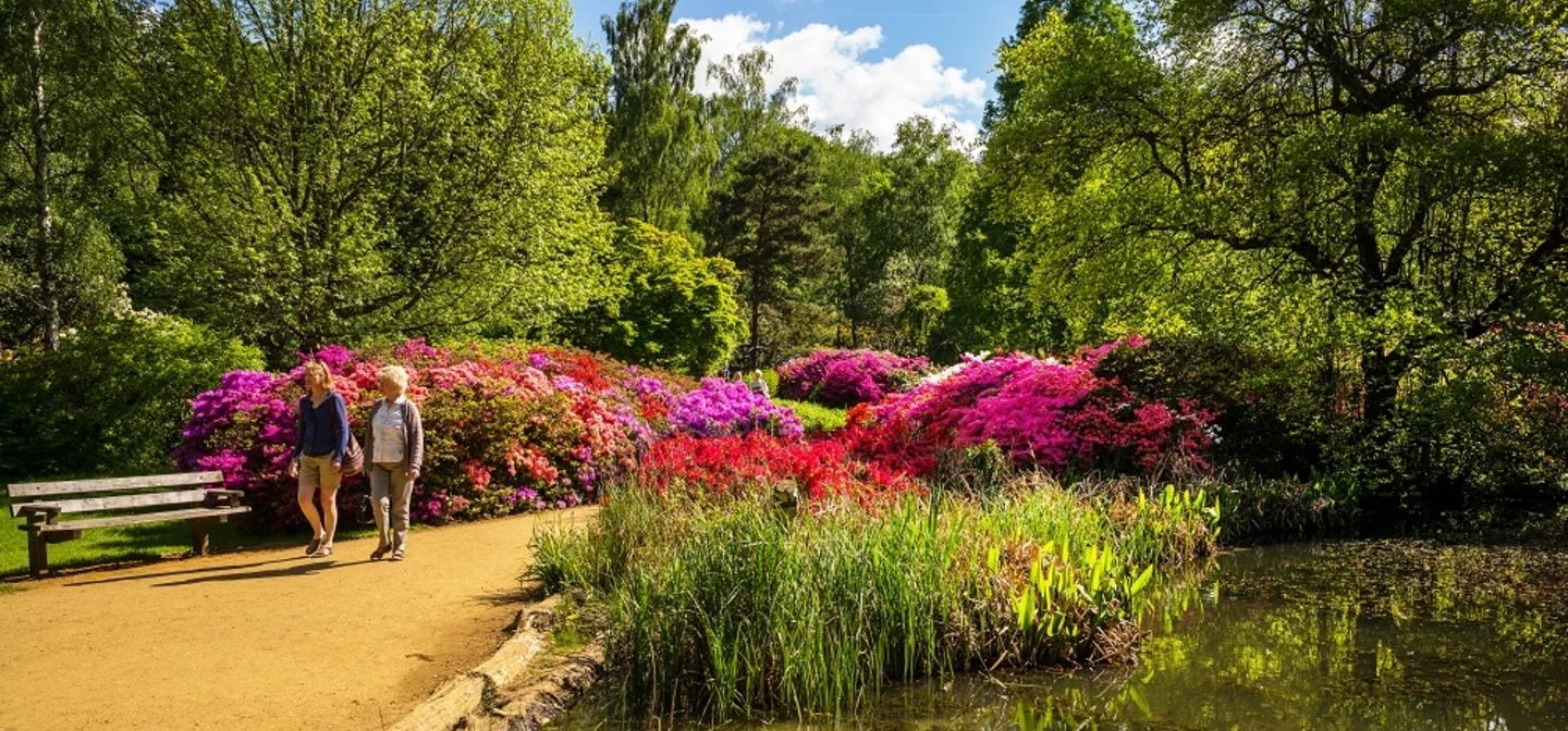 Ladies walking through the Isabella Plantation