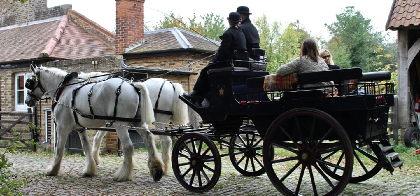 Shire horse rides in Richmond Park 2