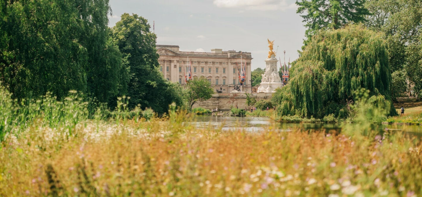 St. James's Park in summer