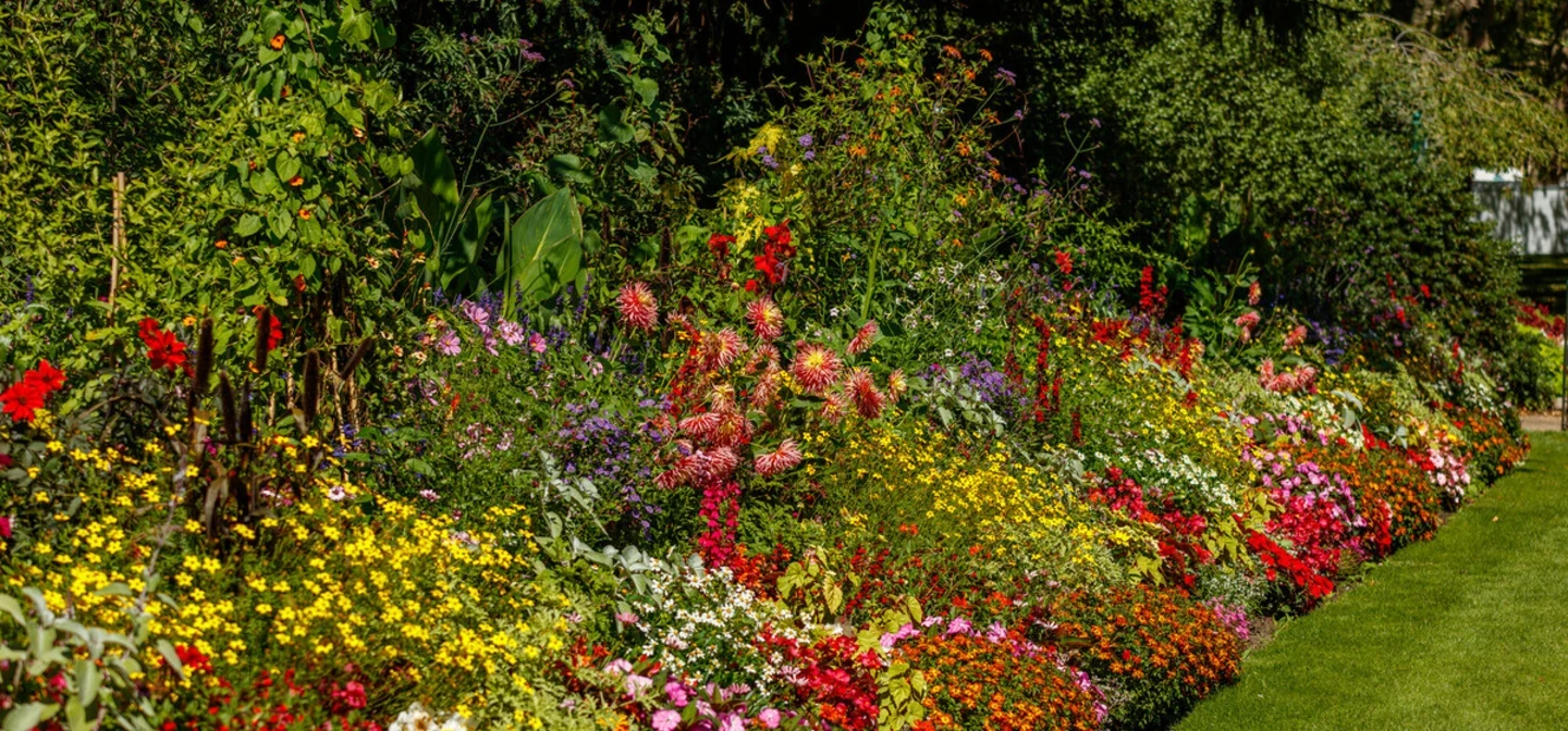 St James's Park summer bedding