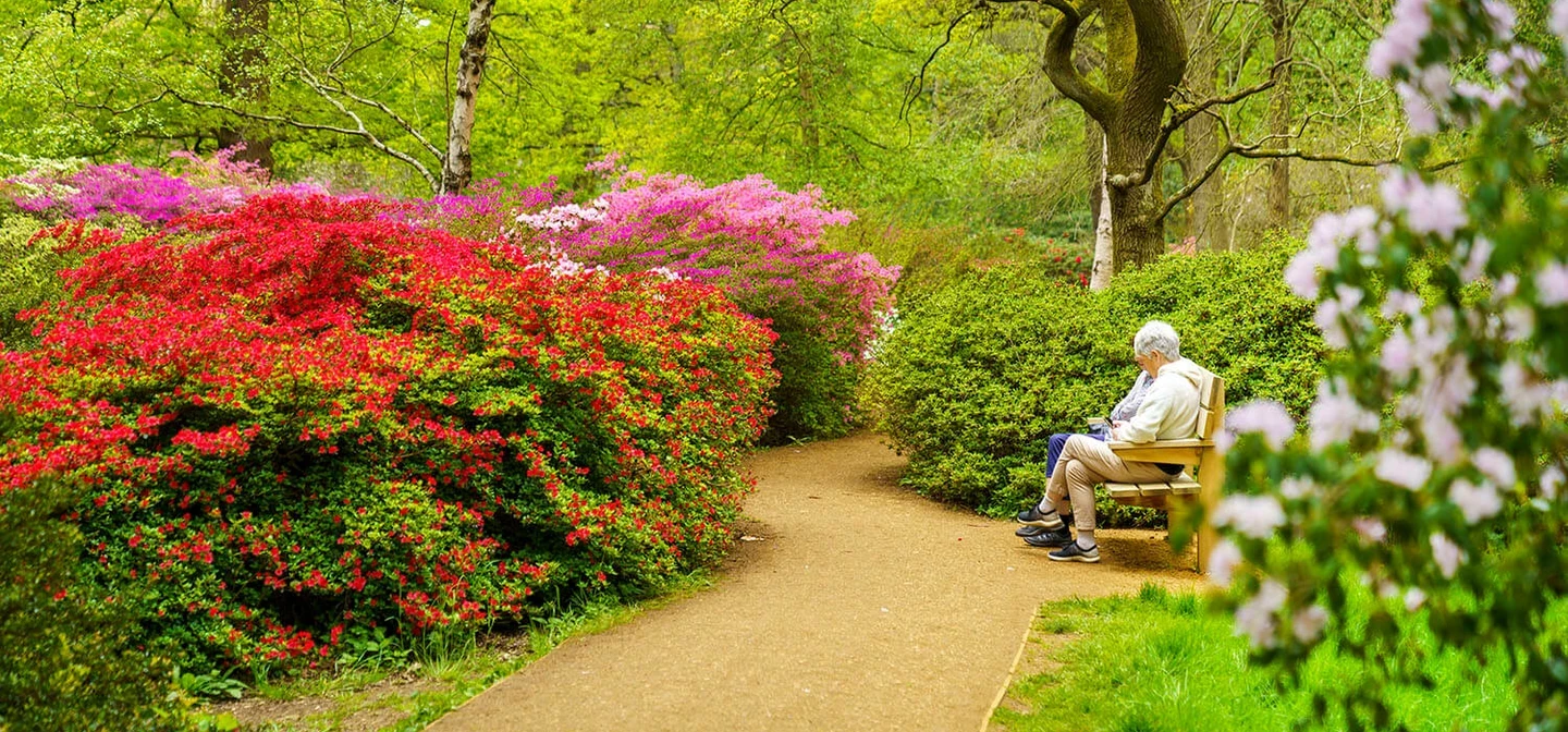 People sitting on a park bench in the Isabella Plantation