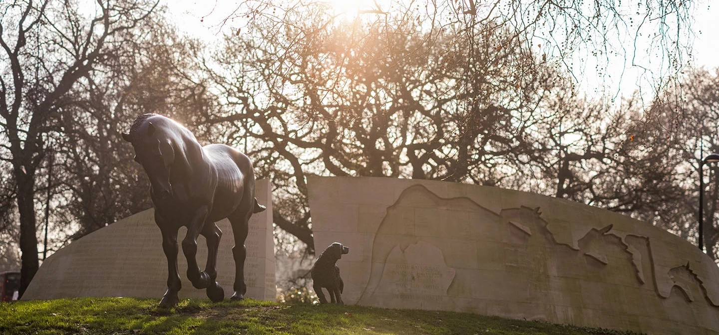 Animals in War memorial