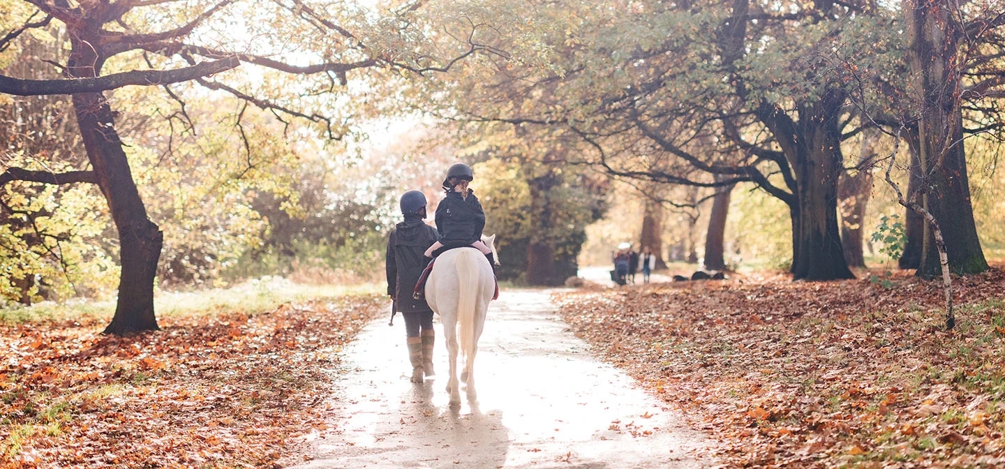 A young girl riding a pony