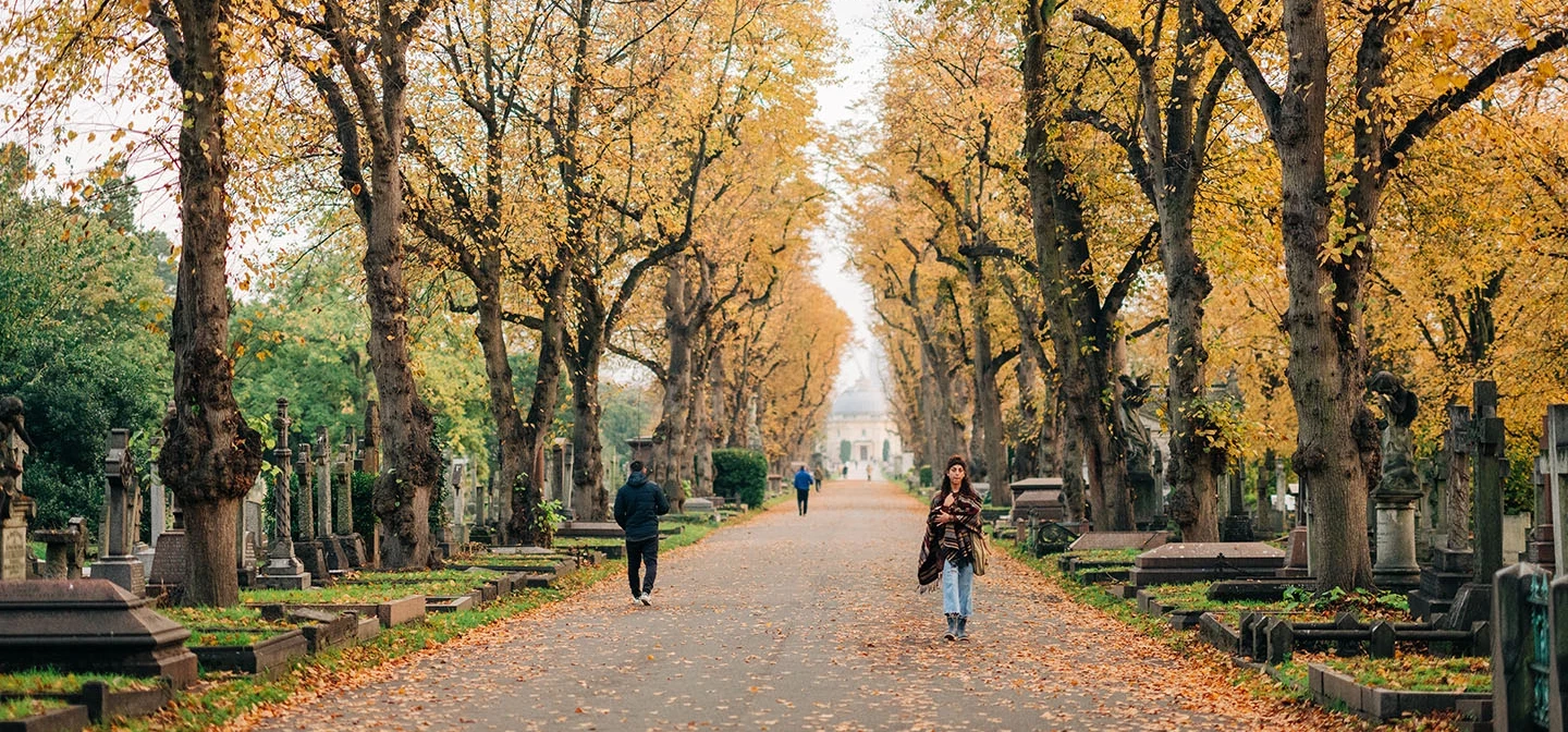 Autumn colours along the Central Avenue
